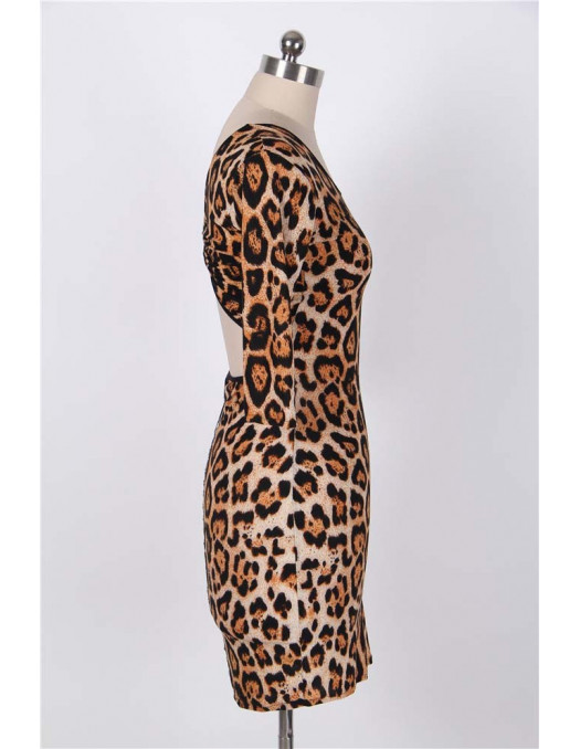 Leopard Dress