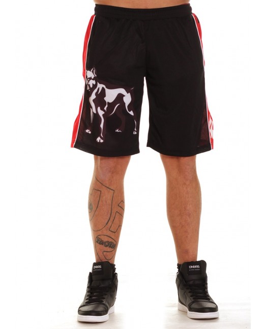 FAT313 Legend Shorts