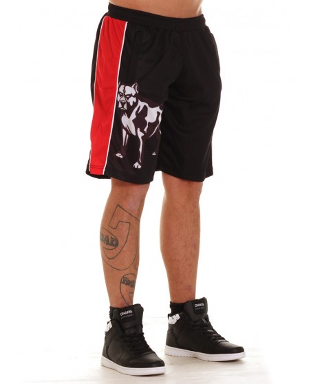FAT313 Legend Shorts