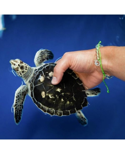 4Ocean armbånd III