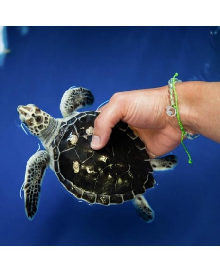 4Ocean armbånd III