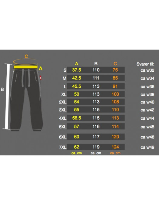 TechWear Cargo Pants Urban