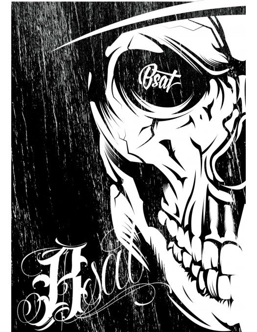 BSAT Card Skull