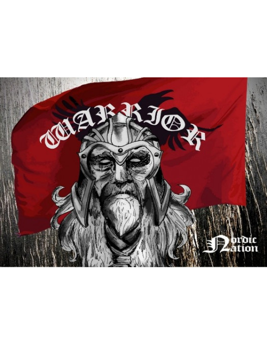 Nordic Worlds Card Warrior