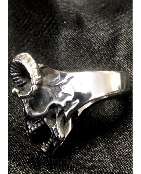 Skull Ring Ram