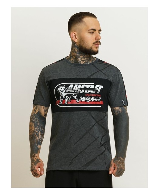 Familiy Breed T-Shirt Grey by Amstaff