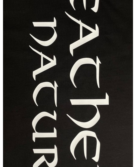 Nordic Worlds Heathen Premium T-Shirt Black