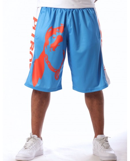 Pitbos Dog Mesh Shorts Ultimate League Sky