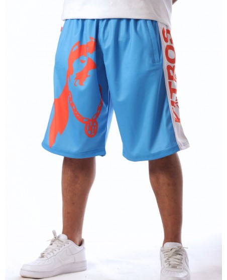Pitbos Dog Mesh Shorts Ultimate League Sky