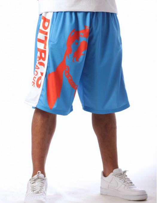 Pitbos Dog Mesh Shorts Ultimate League Sky