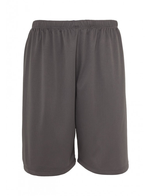 Urban Bball Mesh Shorts grey