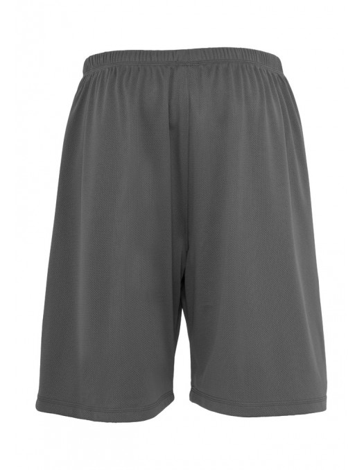 Urban Bball Mesh Shorts grey