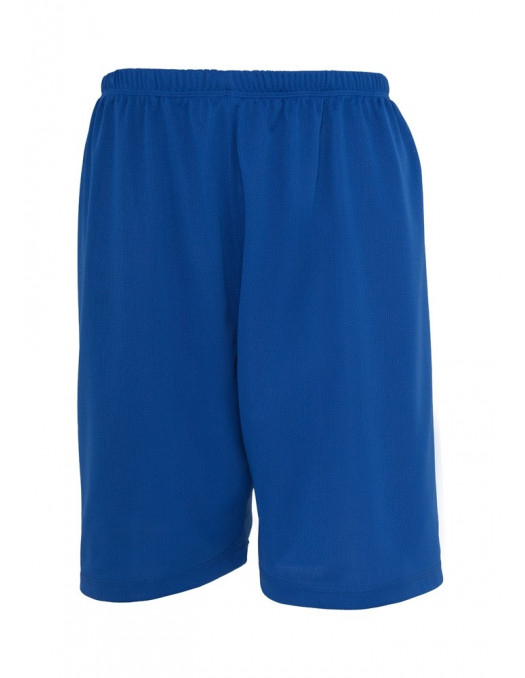 Urban Bball Mesh Shorts royal