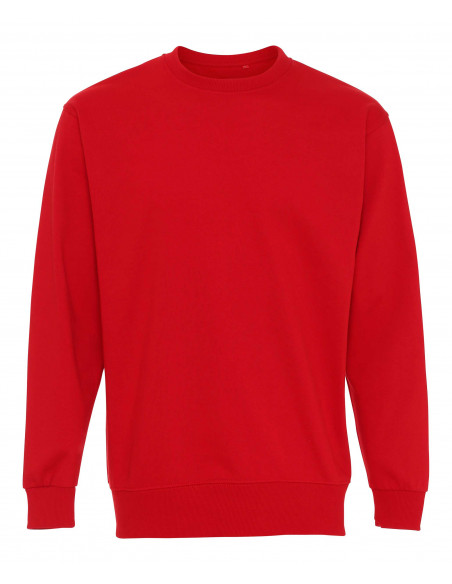 Plain Crewneck Heavy Sweatshirt Red