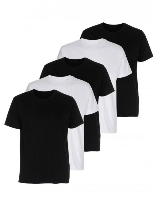 Premium T-Shirt Regular Fit 5-Pack...