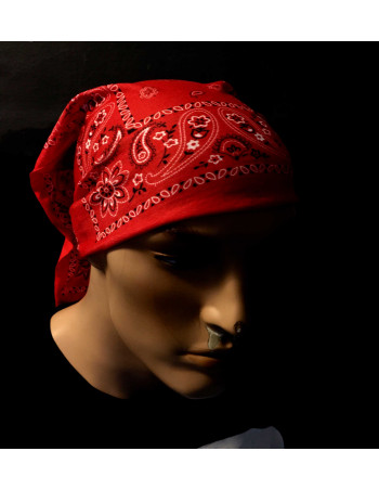 Tube Bandana/ Paisley Red