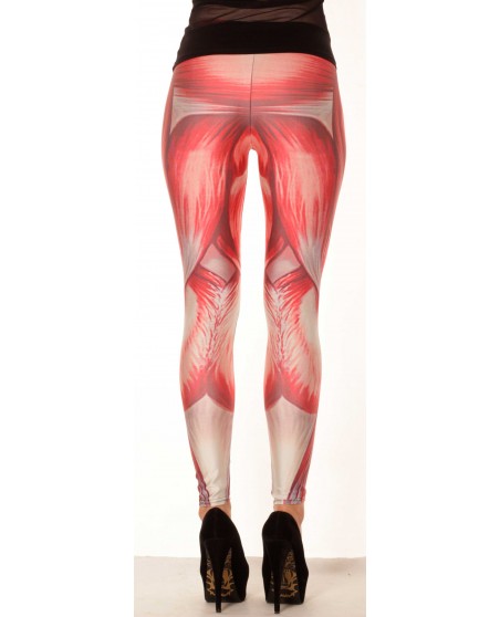 Muscle Leggings
