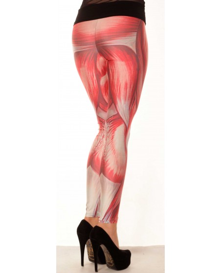 Muscle Leggings