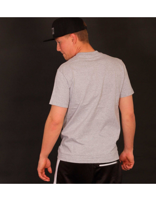 Access C-Neck T-skjorte Lysegrå