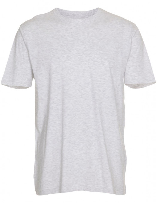 Premium T-Shirt AshGrey