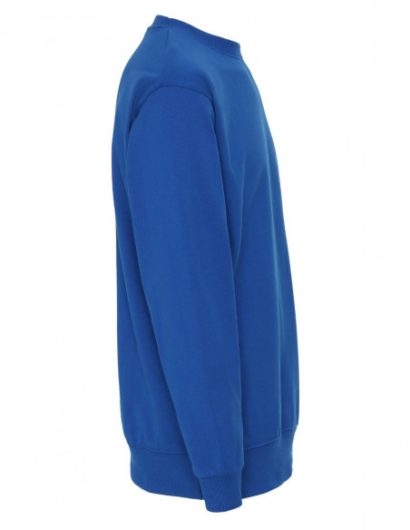 Plain Crewneck Heavy swedish Blue